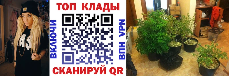 Где найти наркотики Ногинск COCAIN Конопля МЕФ АМФЕТАМИН ГАШ