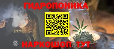 герыч Гатчина