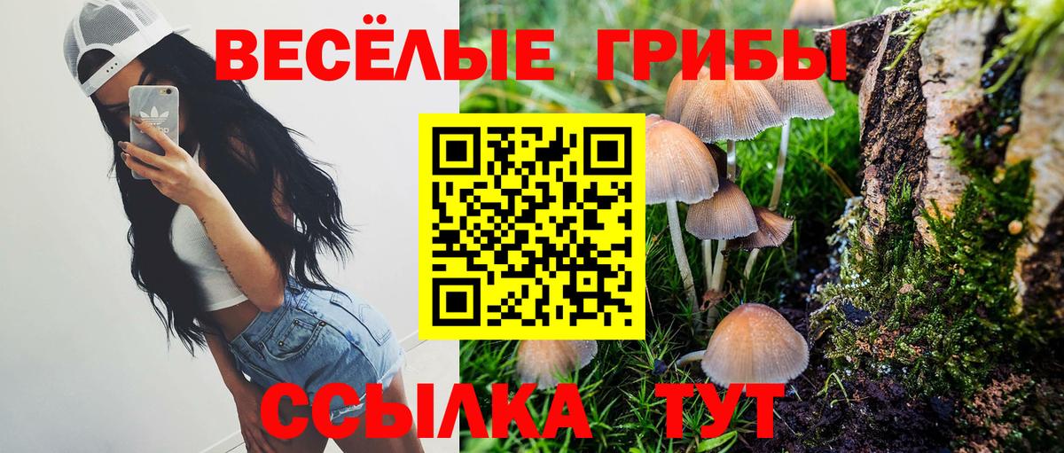 Ногинск  Галлюциногенные грибы Cubensis  Вход с VPN  Псилоцибиновые грибы GOLDEN TEACHER 